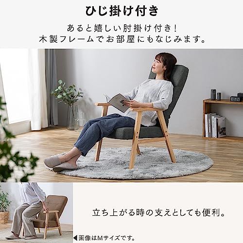 アイリスプラザ(IRIS PLAZA) ウッドアームチェア ブラウン Lサイズ WACN-L Ju