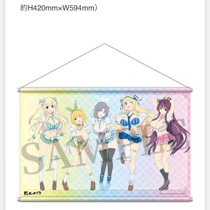 閃乱カグラ　ハイパーWebくじ　抽選購入　10名限定　未開封