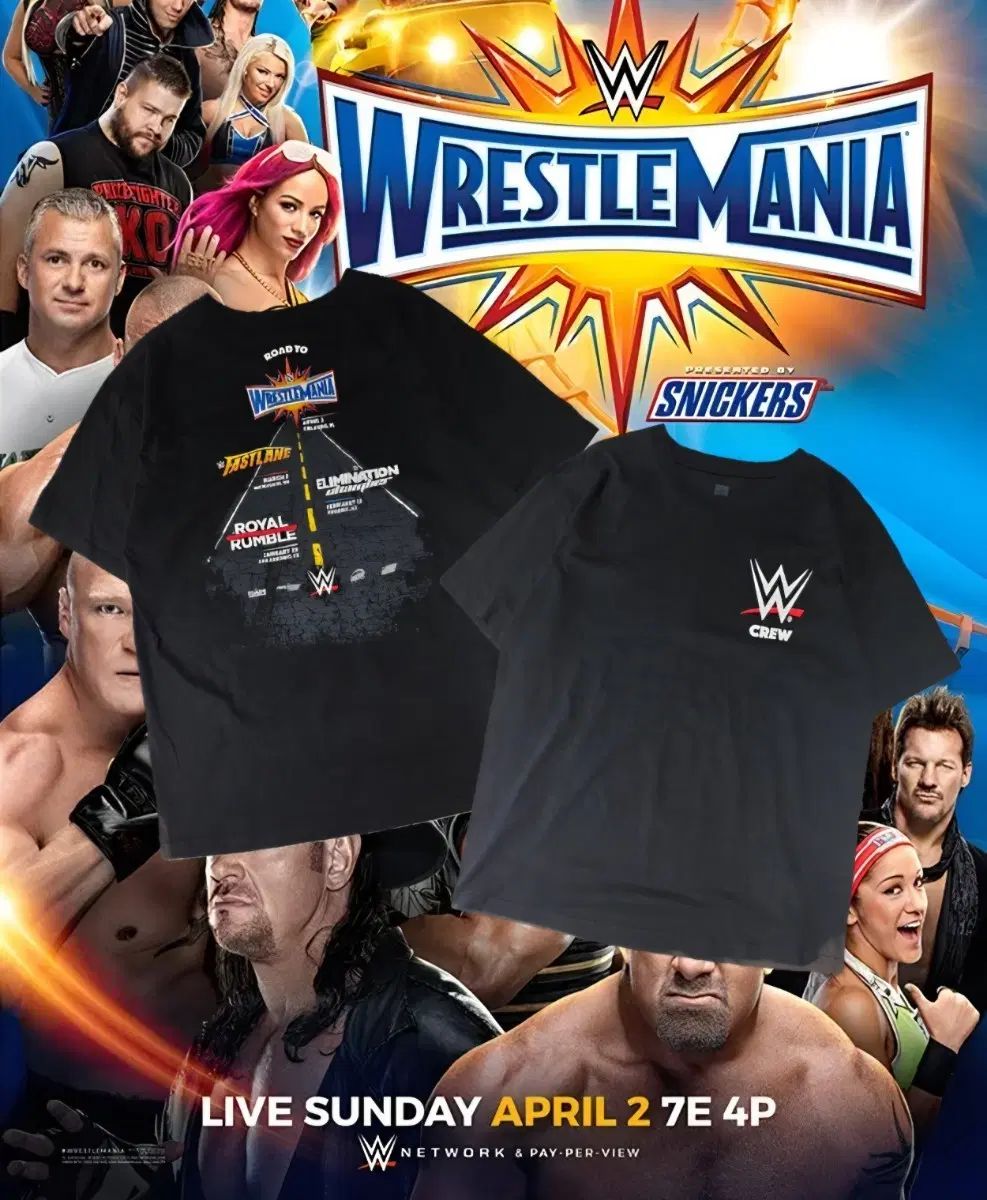 WWE 'Road to WrestleMania 33' 半袖 XL