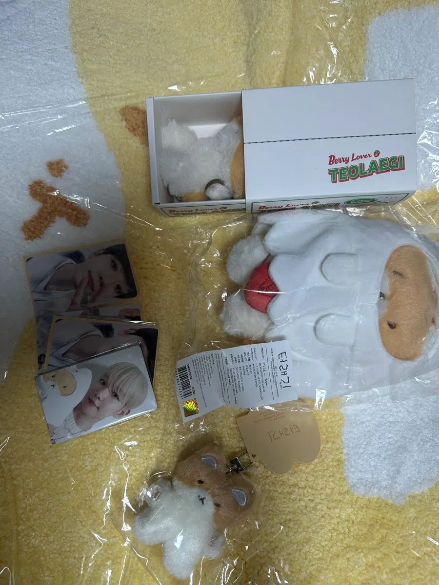トレギ TEOLAEGI まとめ