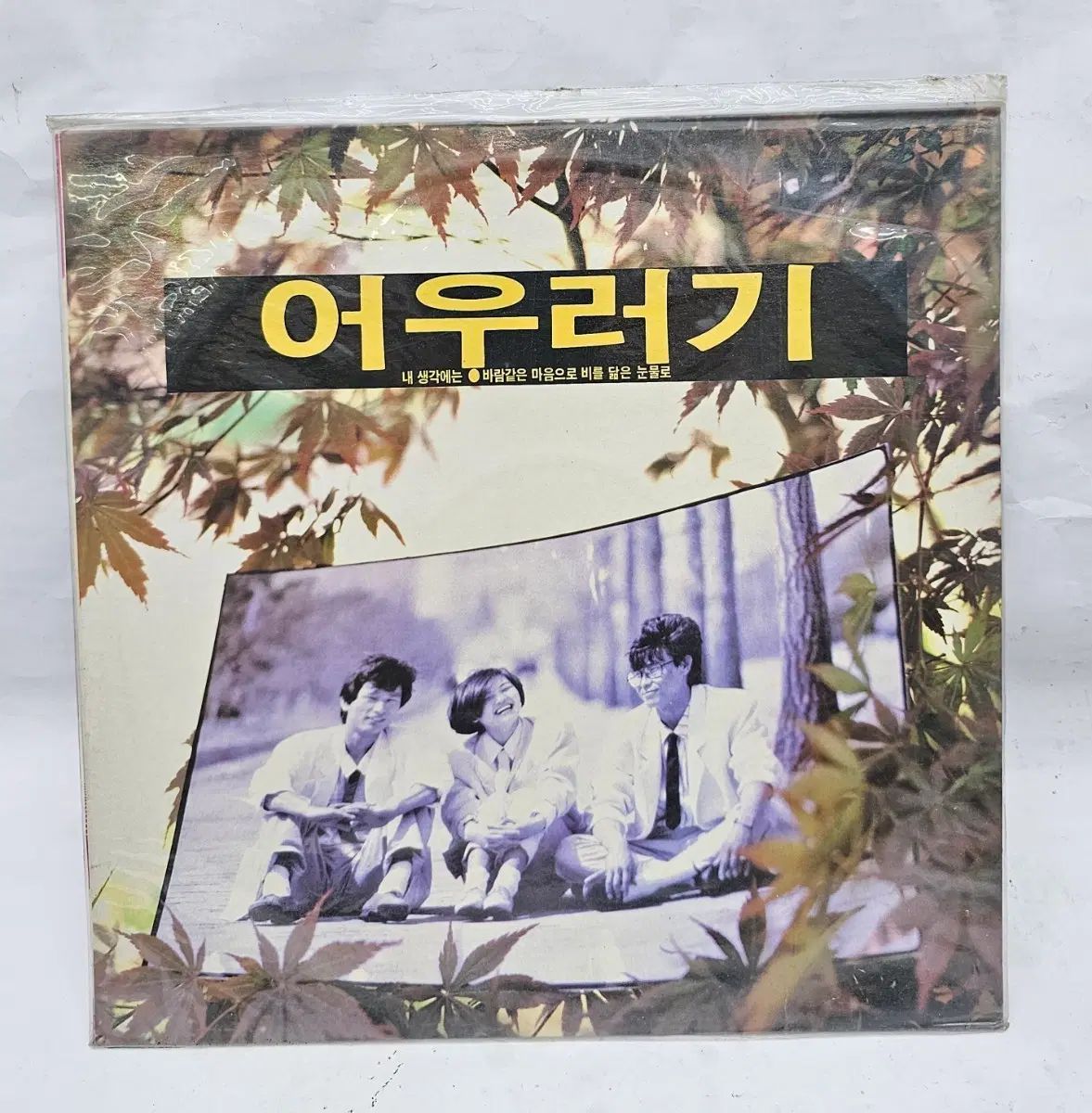 ブレンド LP 未開封