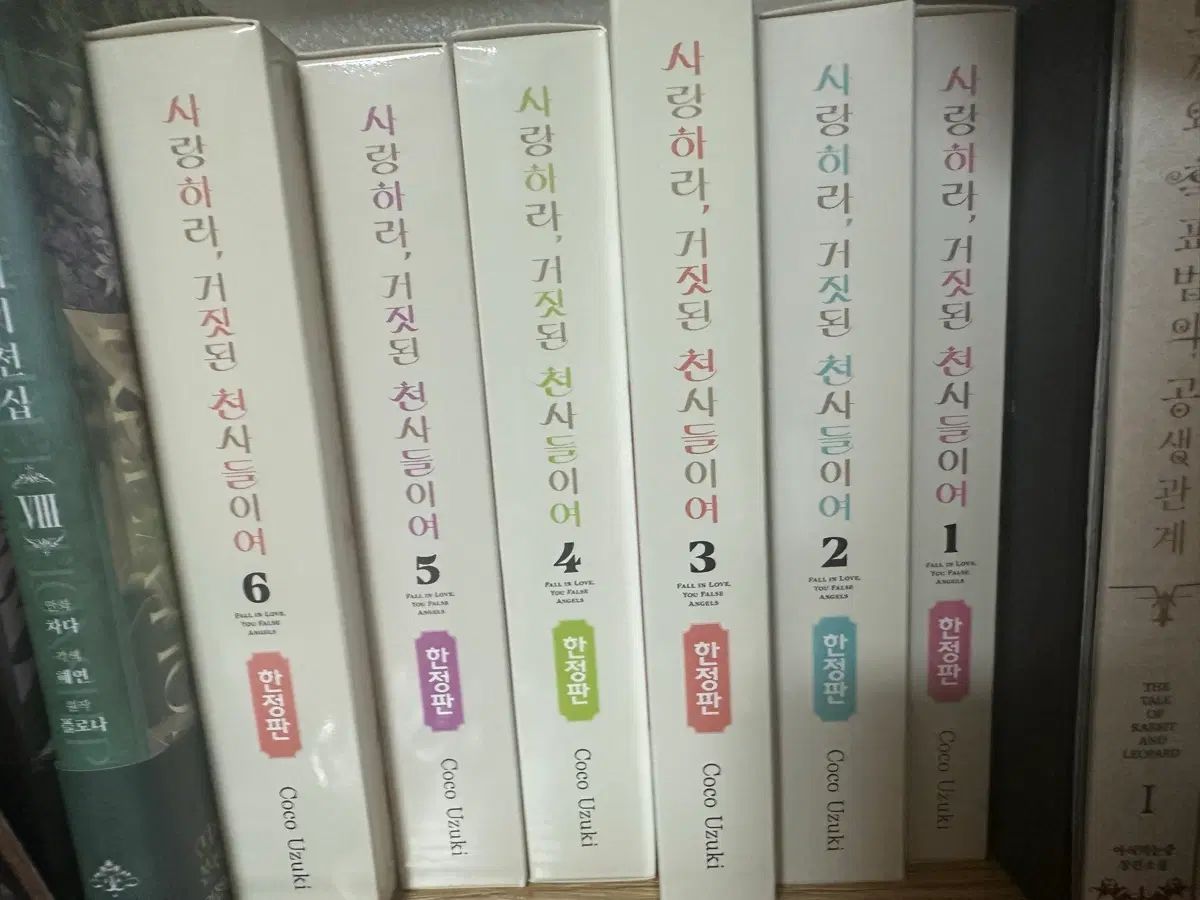 愛せ 偽りの 天使たち 限定モデル 1 - 6 巻 まとめ