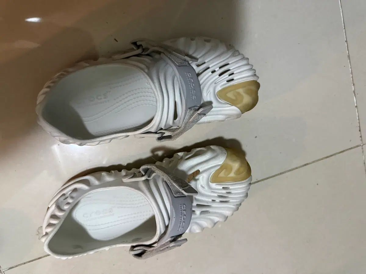 (Us 7 260) Crocs X サレヘ ベンバリー ポレックス クロッグ ストラタス