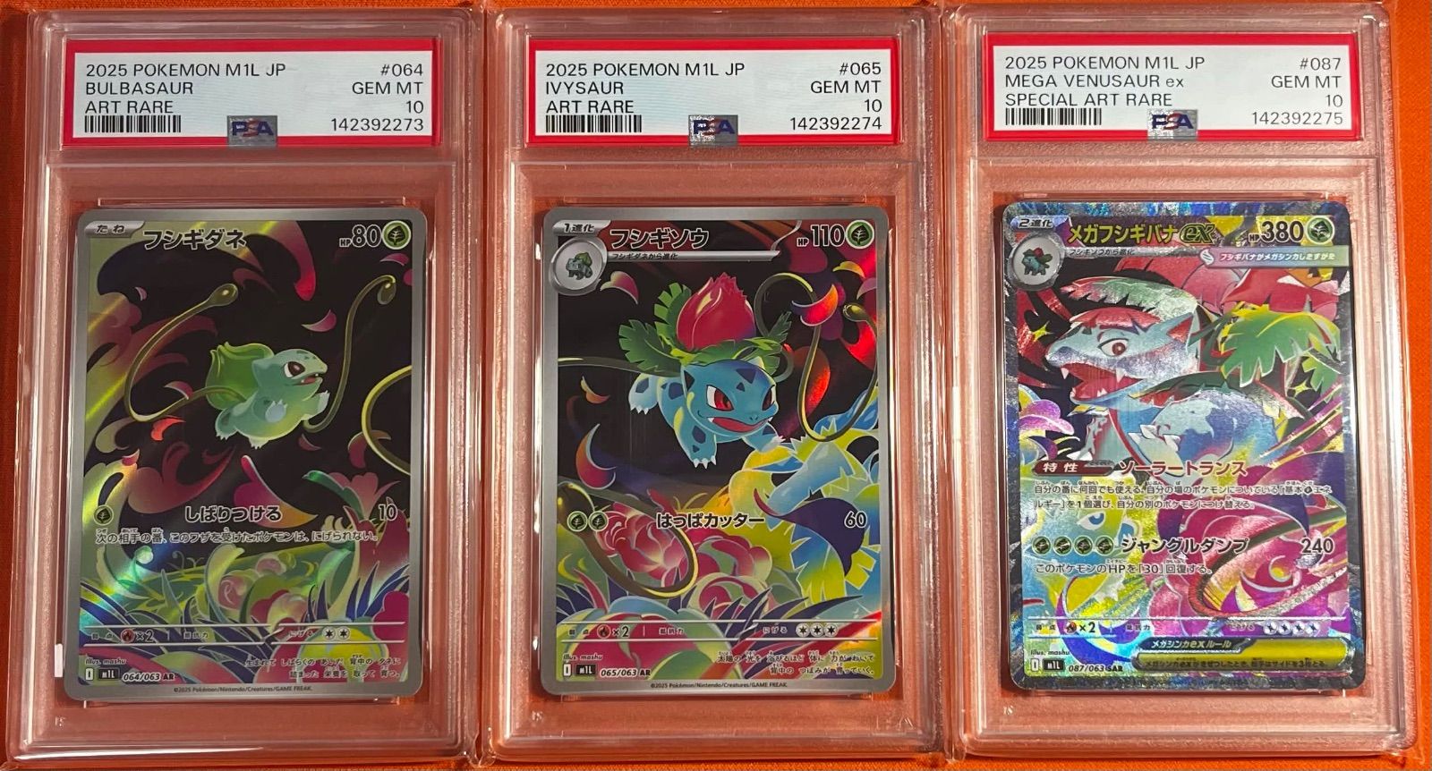 PSA10 3連番 フシギダネ フシギソウ メガフシギバナex AR SAR ポケモンカード