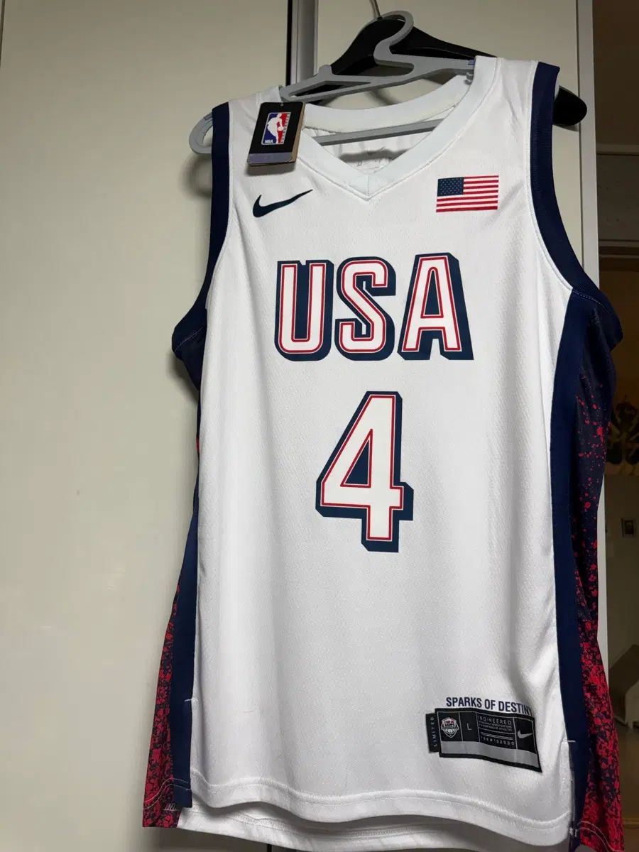 (L) NIKE バスケット パリ オリンピック USA スティーブン・カリー Swingman（スウィングマン） ジャージ