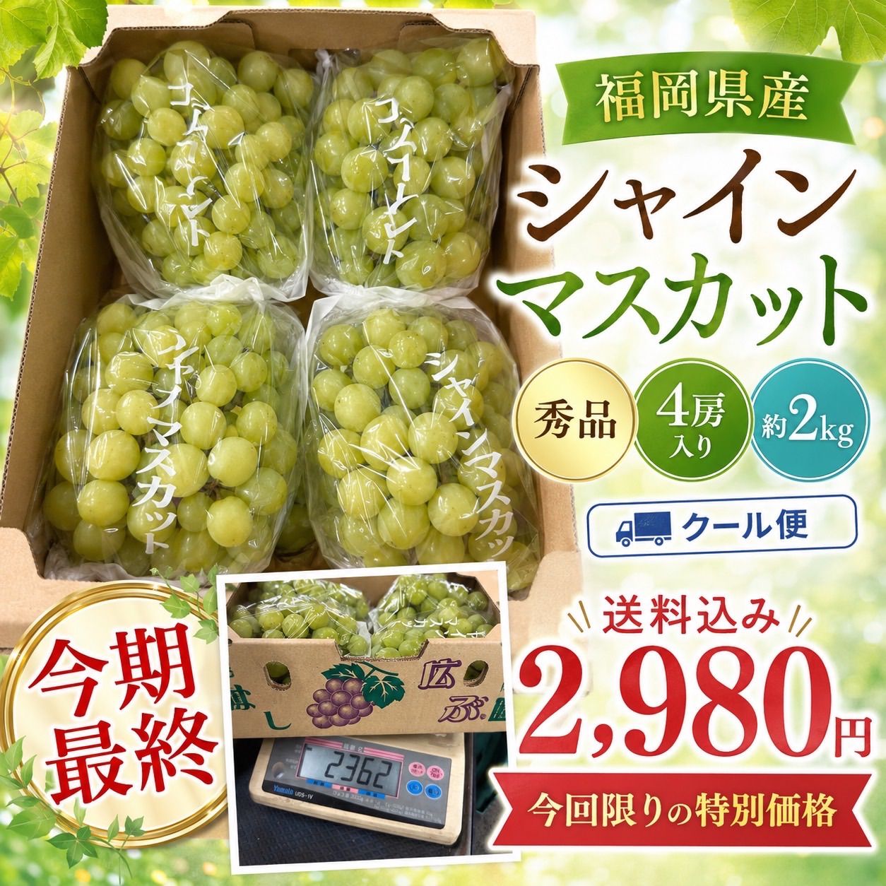 h 14 山梨県産 ぶどう 秀品 シャインマスカット 2kg