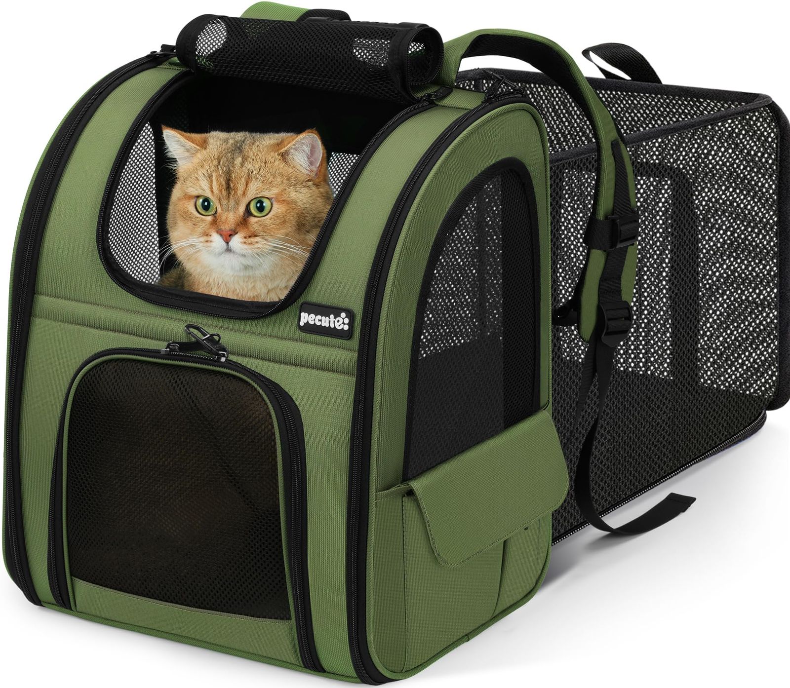 Pecute 犬 リュック 猫 キャリー リュック 拡張可能 2WAY 猫キャリーバッグ 猫 小中型犬用 バッグ 通気性 折り畳み 旅行 通院 防災 避難用 ペットキャリー グリーン