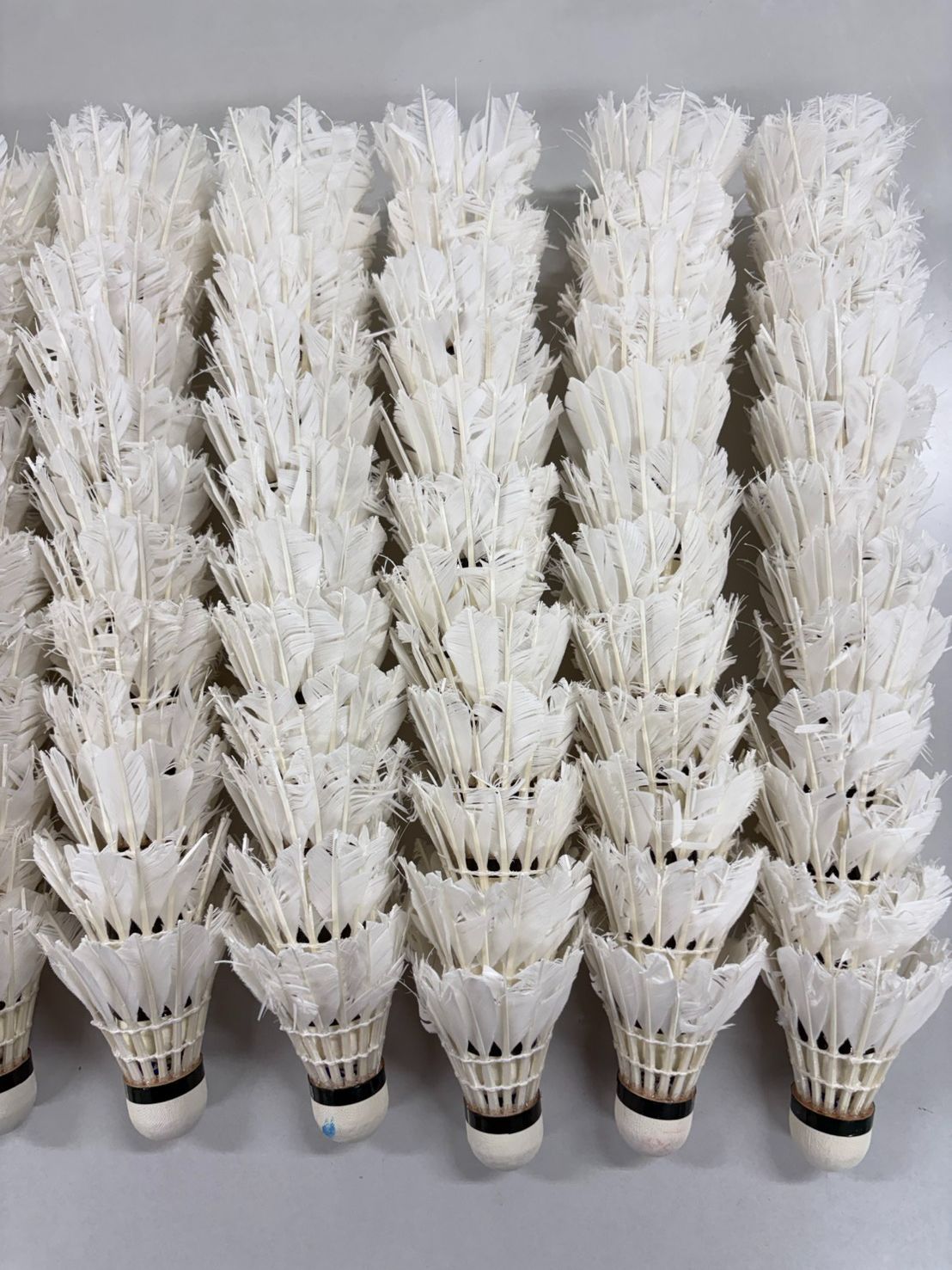 バドミントン　ノック球120個 120 balls】Badminton Used Shuttlecocks for Knocking Practice Self