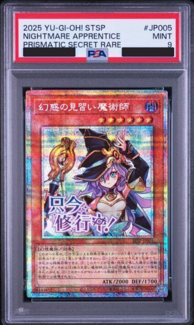 PSA9〕幻惑の見習い魔術師 PSE [STSP-JP005](スペシャルパック