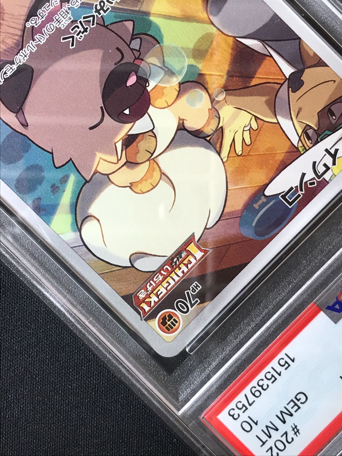PSA10】 ポケモンカードゲーム ポケカ イワンコ CHR S8b-202 S8b ハイ