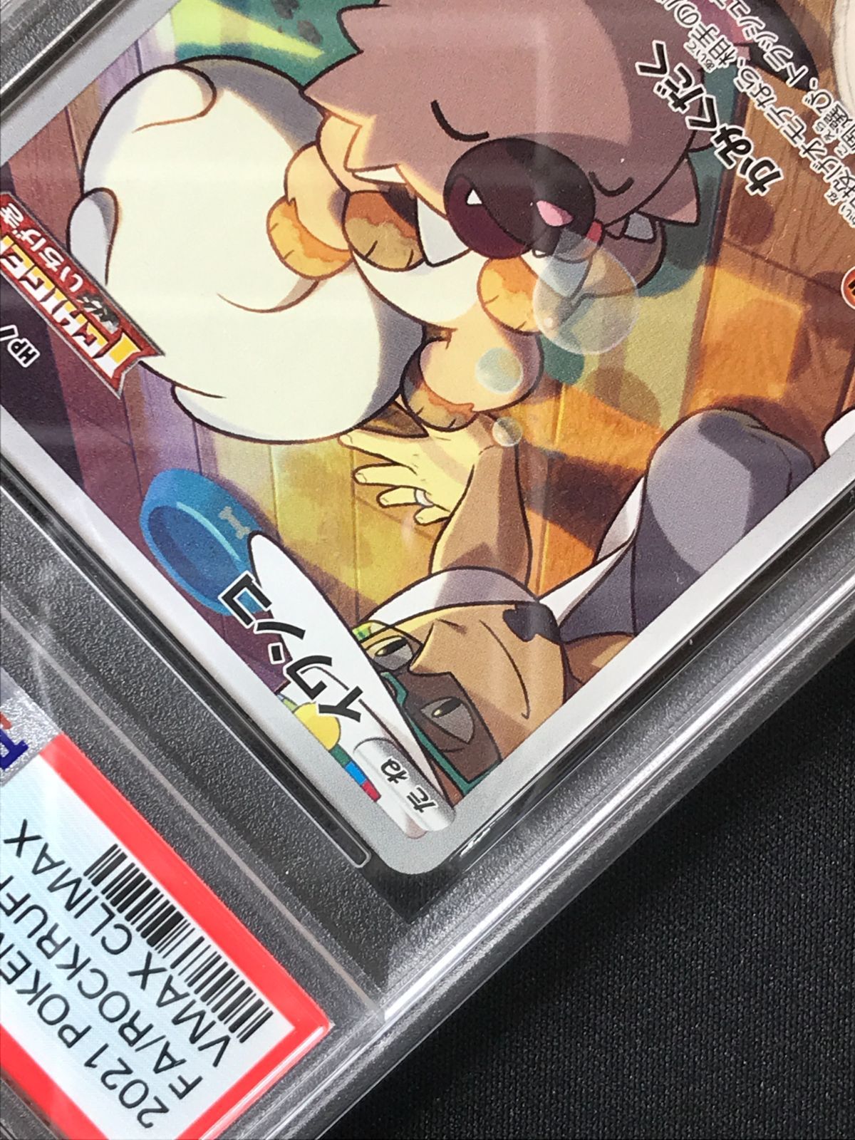 PSA10】 ポケモンカードゲーム ポケカ イワンコ CHR S8b-202 S8b ハイ