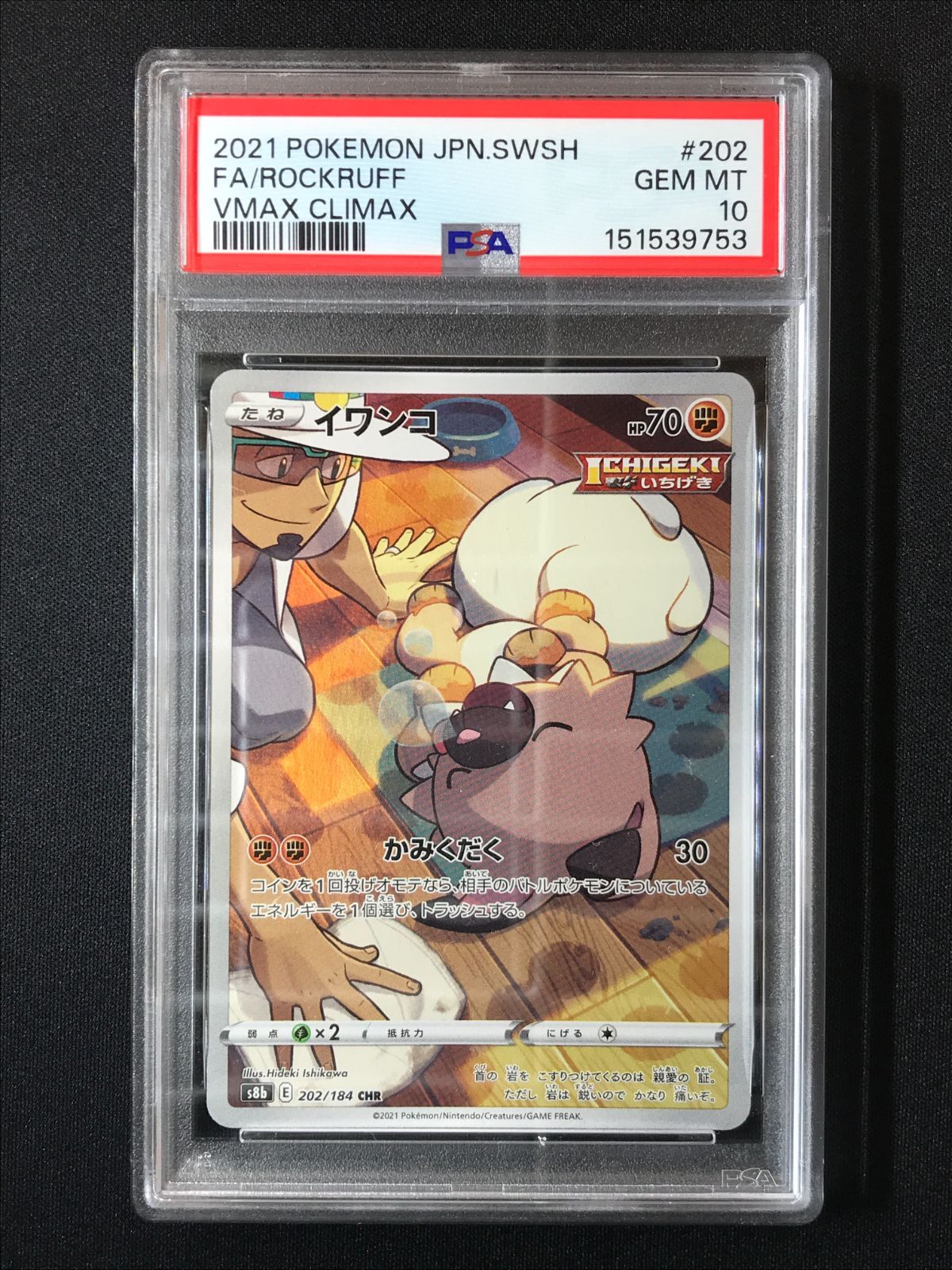 PSA10】 ポケモンカードゲーム ポケカ イワンコ CHR S8b-202 S8b ハイ