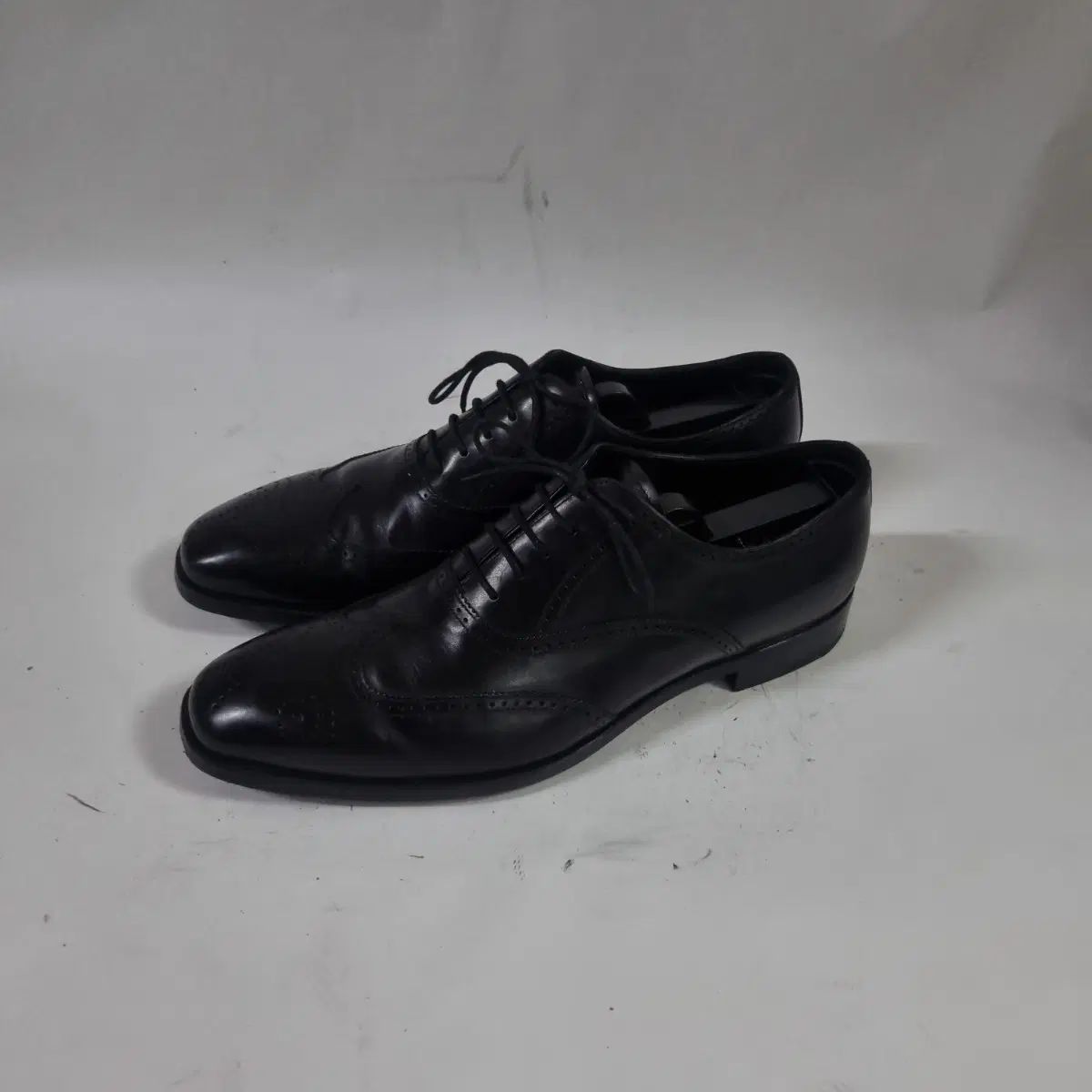 PRADA プラダ ウイングチップ SUPER JUNIOR(スーパージュニア) uk7 59,994円