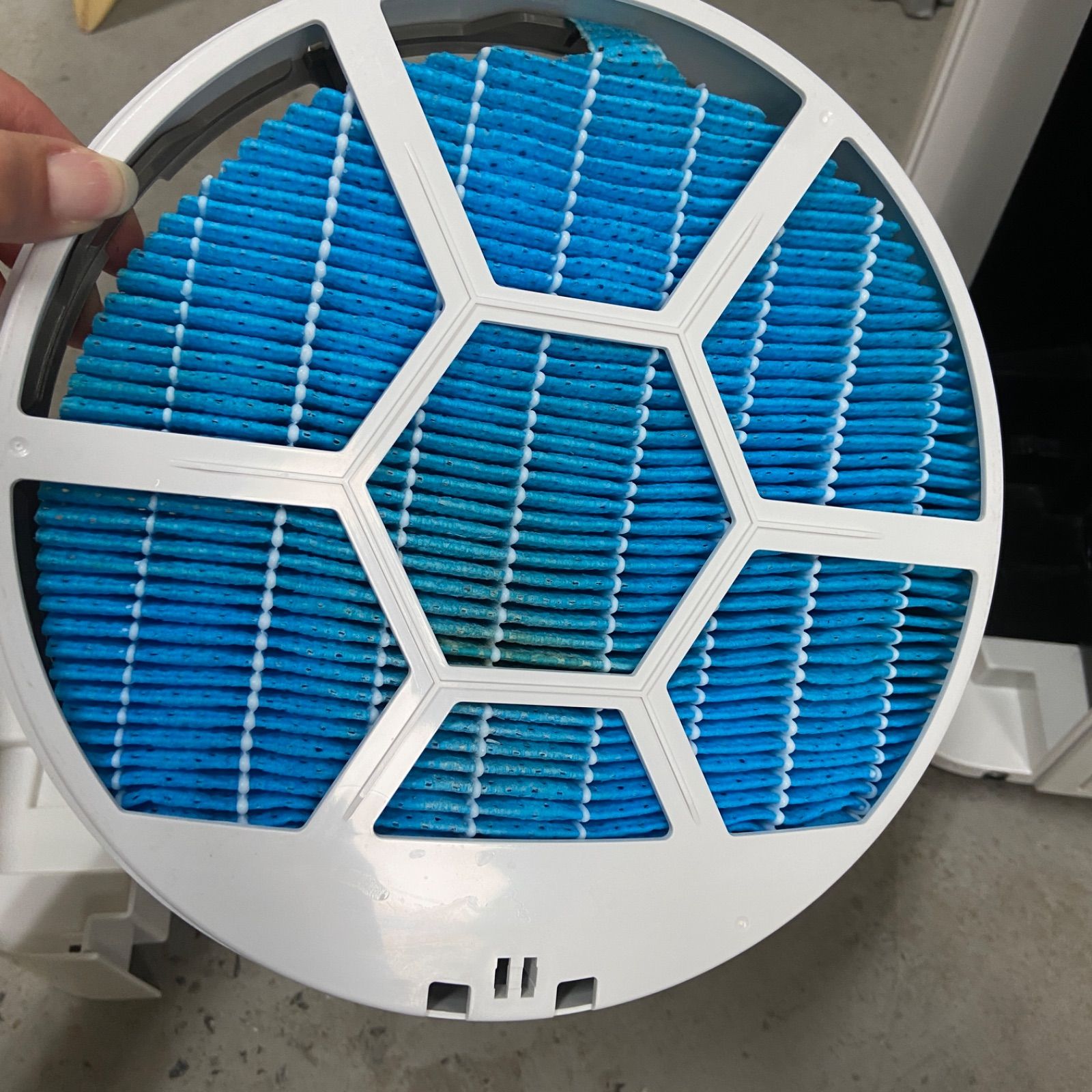 SHARP シャープ 加湿空気清浄機 KC-F70-W 2022年製 - メルカリ