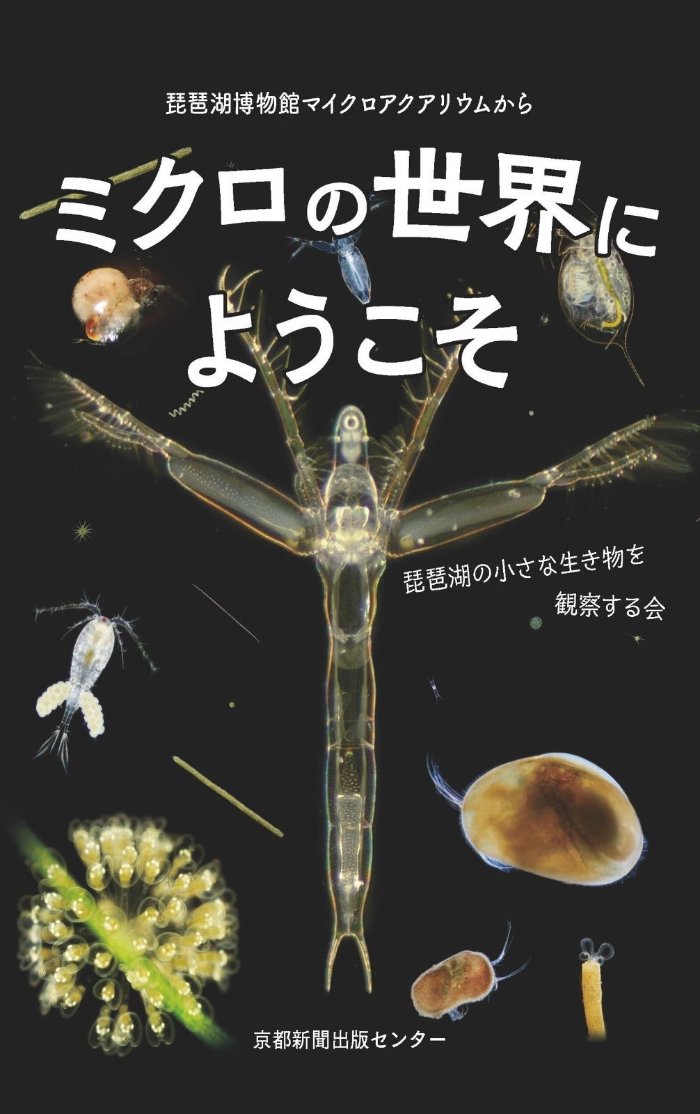 【名盤4枚セット】大貫妙子 鈴木茂 笠井紀美子 川崎燎 LPレコード 名盤4枚セット】大貫妙子 鈴木茂 笠井紀美子 川崎燎 LPレコード