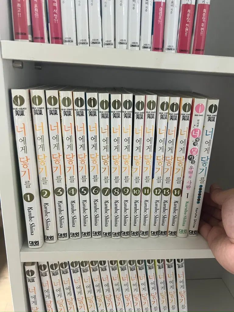 完結 フルセット+ファンブック/外伝 含む あなたに 君に届け 漫画 1 30 巻 全巻