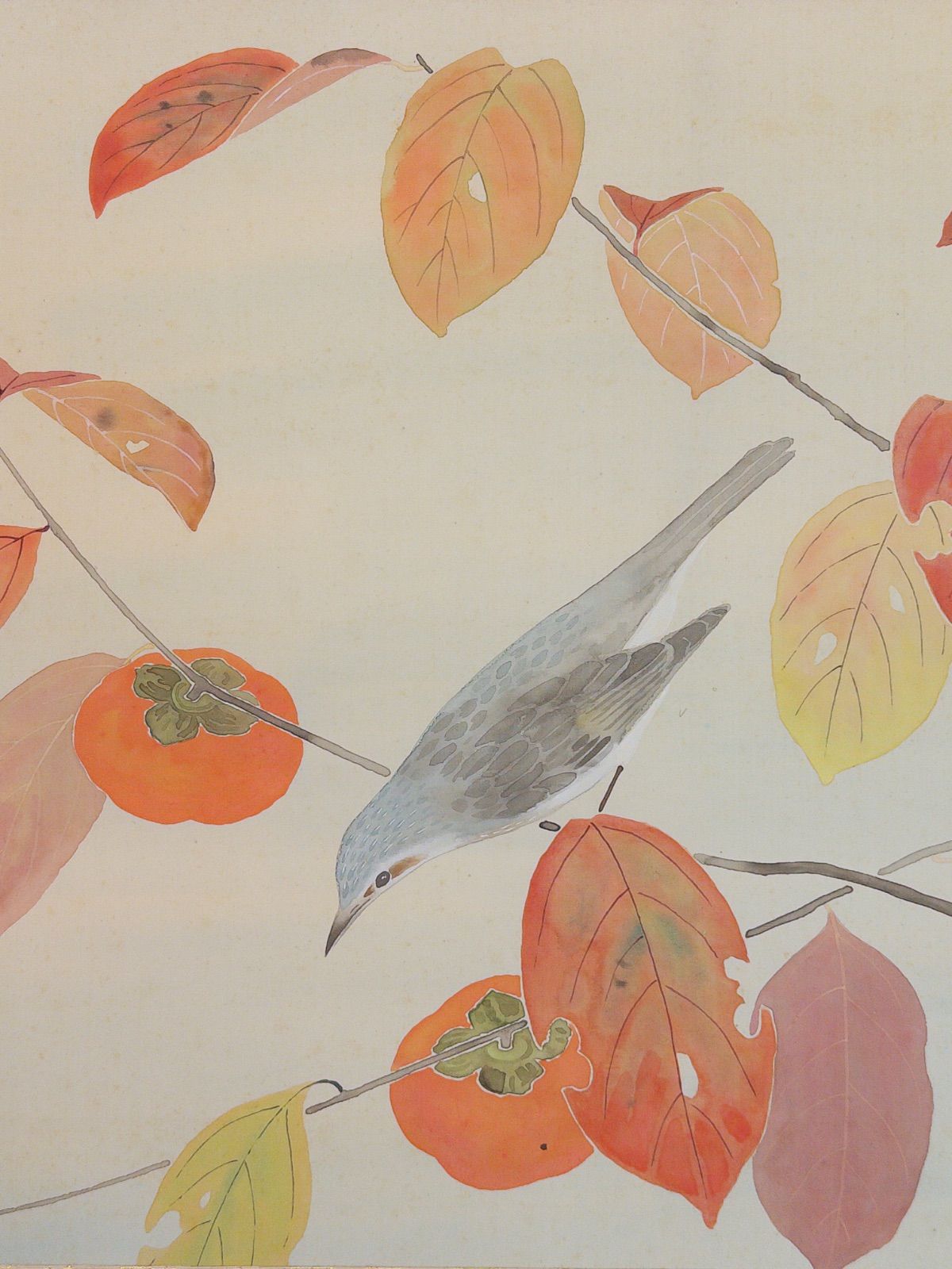 吹田草牧 秋景柿鸟 掛軸 柿に鳥 日本画 肉筆 　茶掛　共箱 吹田草牧 秋景柿鸟 掛軸 柿に鳥 日本画 肉筆 掛軸 茶掛 共箱 - メルカリ