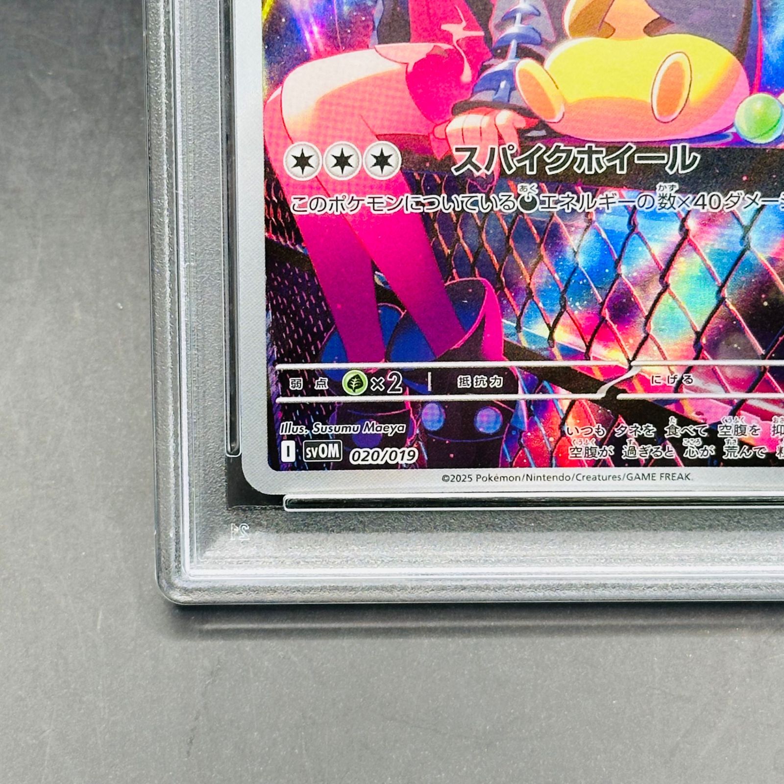 マリィのモルペコ SVOM ex マリィのモルペコ&オーロンゲ…PSA10 マリィのモルペコ [SVOM 020/019](スターターセットex「マリィの