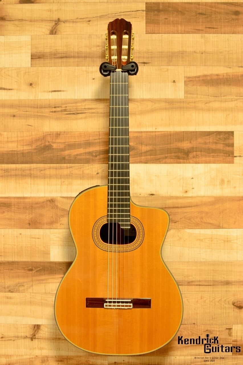 Takamine 1996 NPT-315 w/OHC