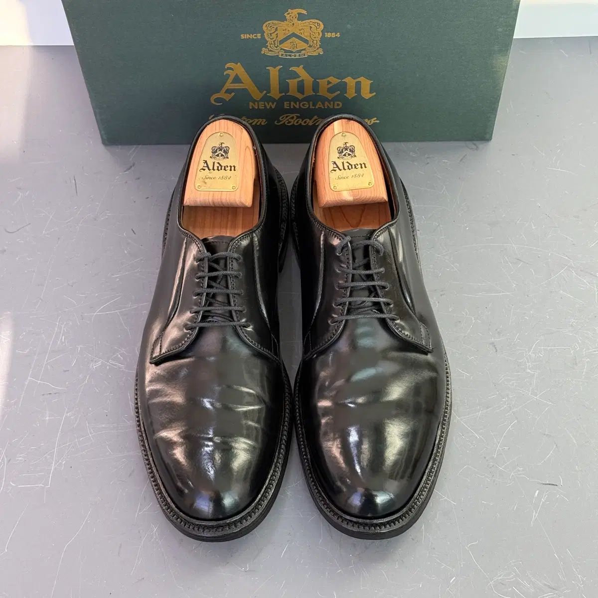 10D ALDEN オールデン 9901 ブラック コードバン プレーン トゥ THE B 