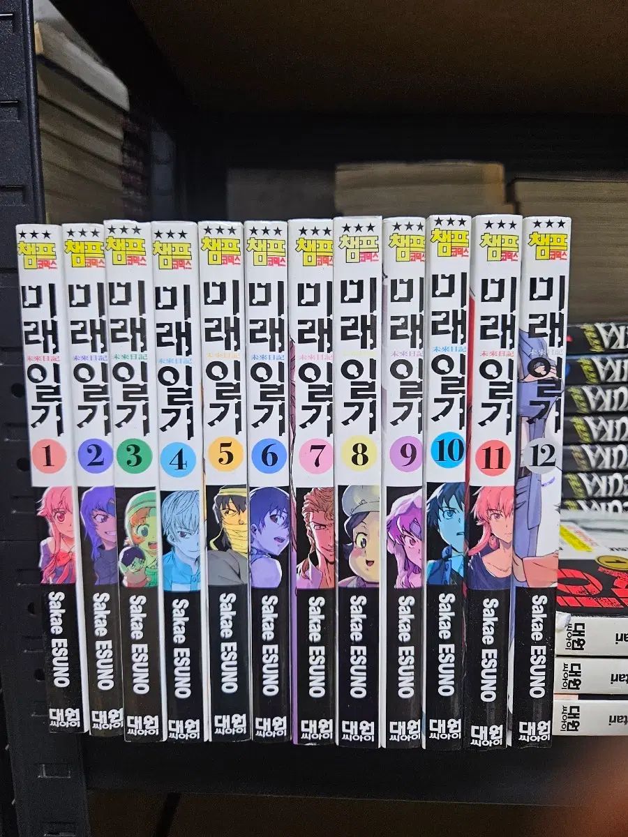未来日記 12 完 外伝 モザイク ポップ 出品