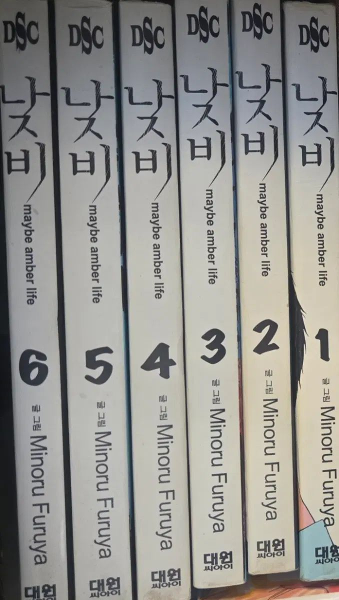 コレクション用 高品質書籍)昼 1 - 6 完
