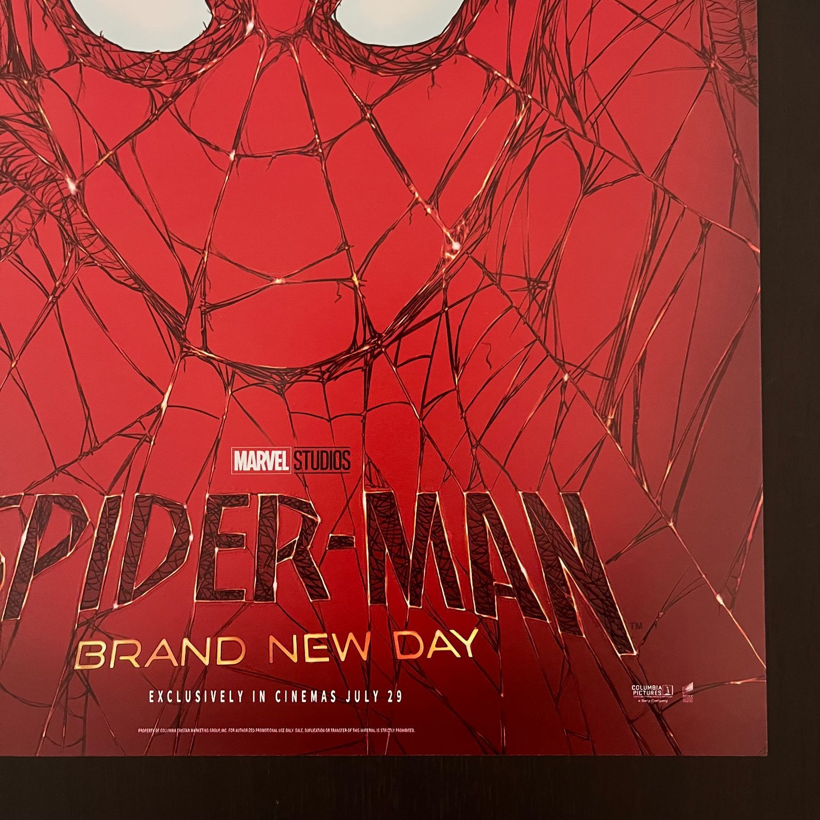 スパイダーマン ブランド・ニュー・デイ 入場者特典ポスター　海外版 スパイダーマン：ブランド・ニュー・デイ 入場者特典 ポスター (ウェブ