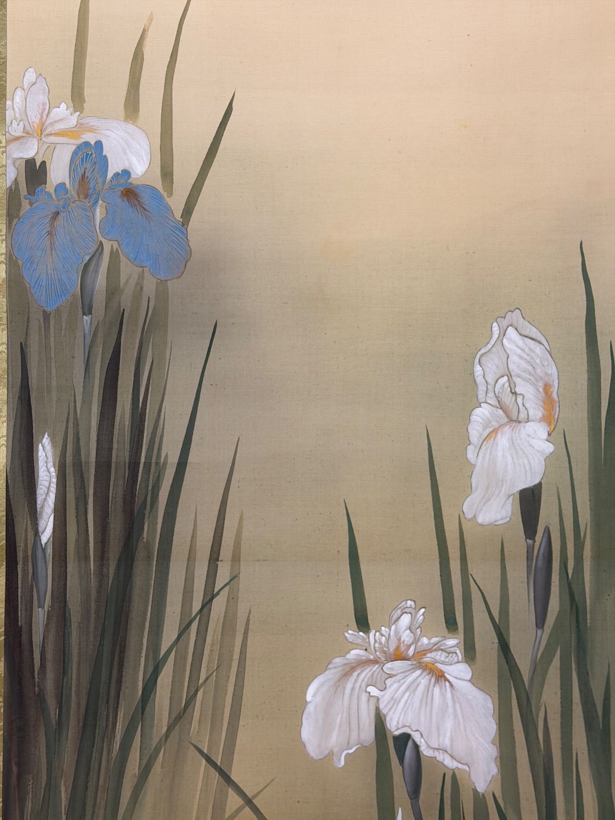 肉筆 真斎 掛軸 花菖蒲に蜻蛉 彩色 絹本 昭和 - メルカリ
