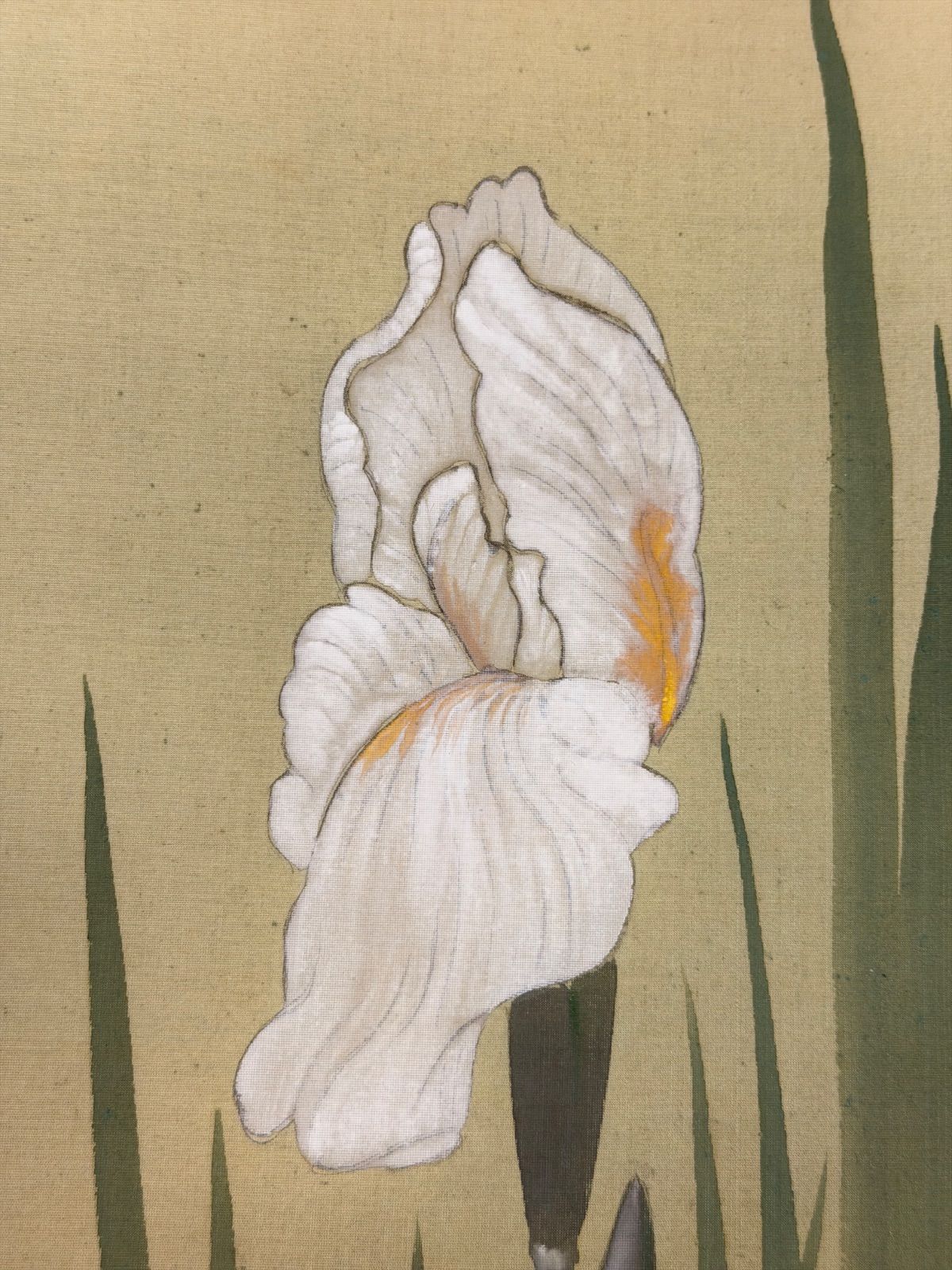 肉筆 真斎 掛軸 花菖蒲に蜻蛉 彩色 絹本 昭和 - メルカリ