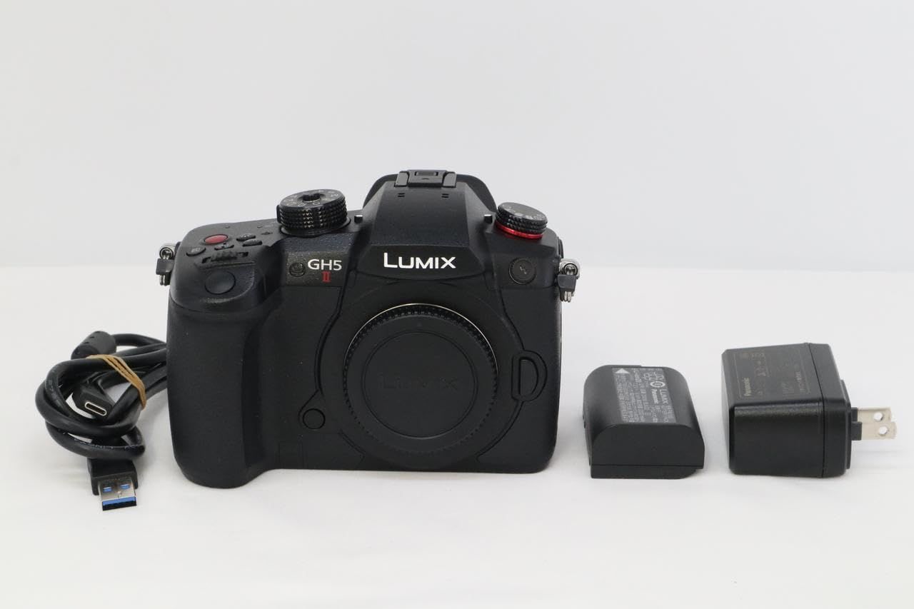 Panasonic LUMIX DC-GH5M2 ボディ S/C 約2736回 ブラック デジタル一眼