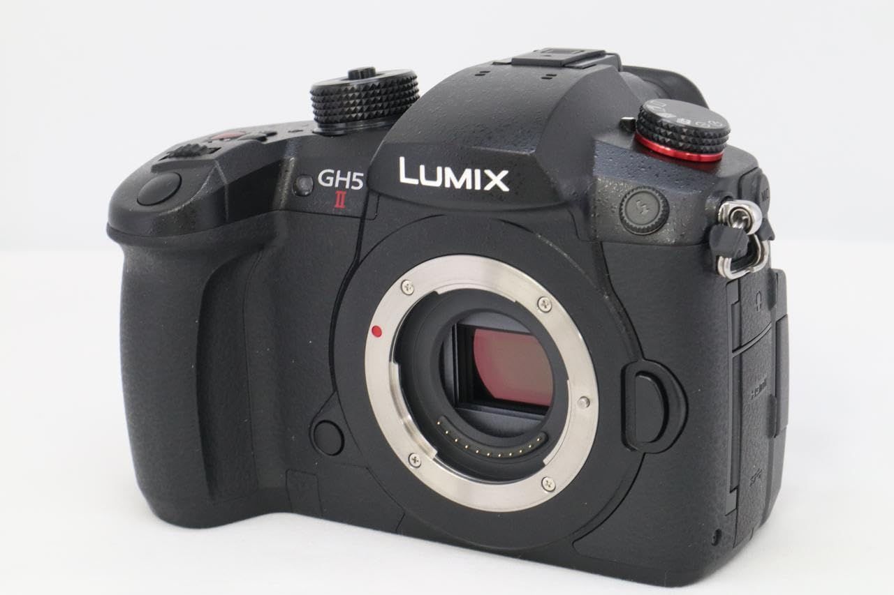 Panasonic LUMIX DC-GH5M2 ボディ S/C 約2736回 ブラック デジタル一眼