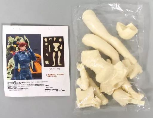 【中古】フィギュア オードリー・エイプリル (ノーマルスーツ) 「ADVANCE OF Ζ ティターンズの旗のもとに」 1/8 ガレージキット 13,164円