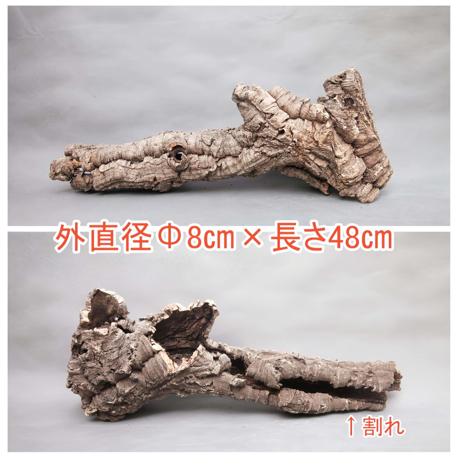 255D13 ポルトガル産 キャノンコルク コルク樹皮 バージンコルク