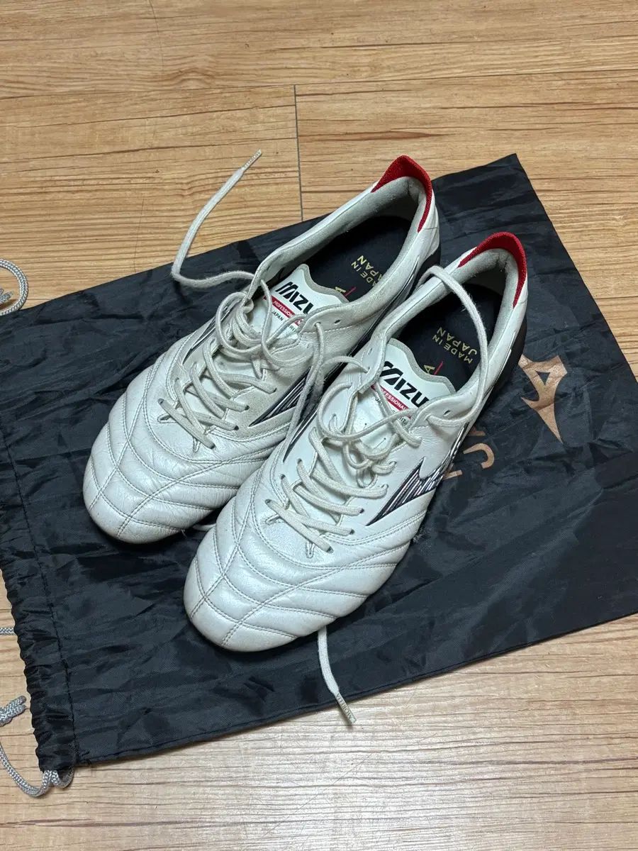 モレリア NEO4 AG 265