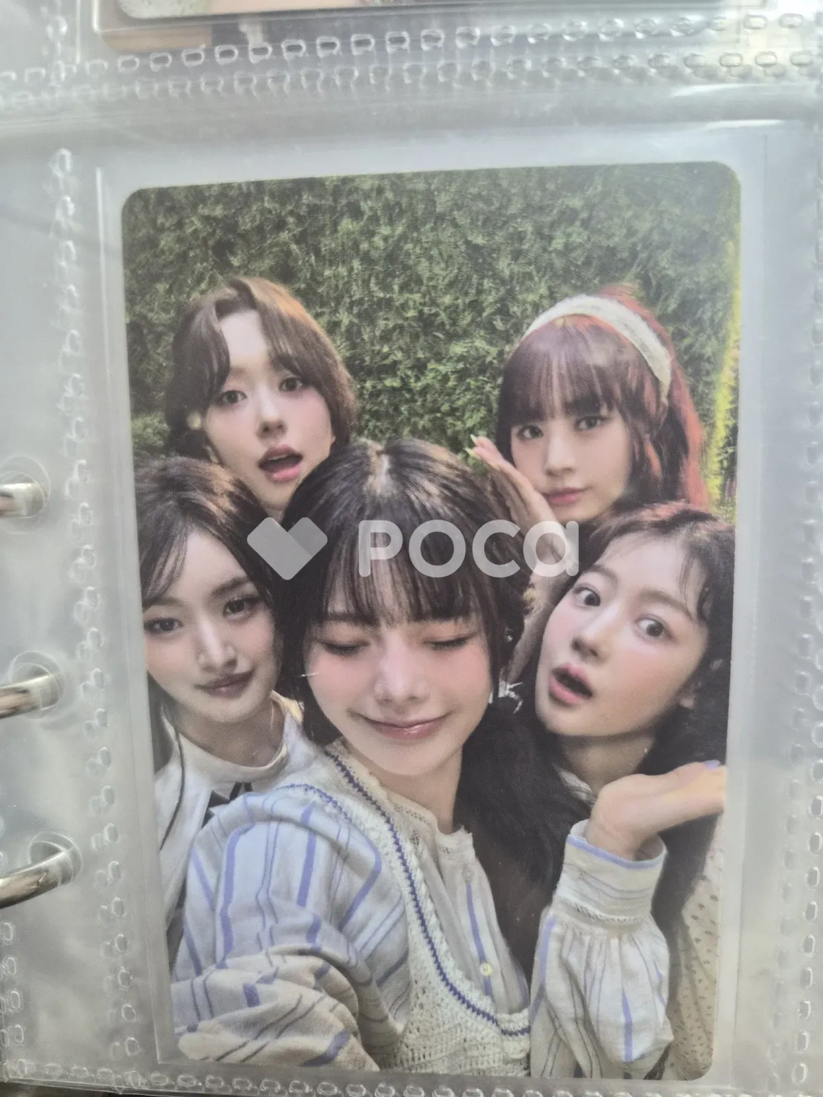 Full Group - Love Tune Album PC photocard photocard