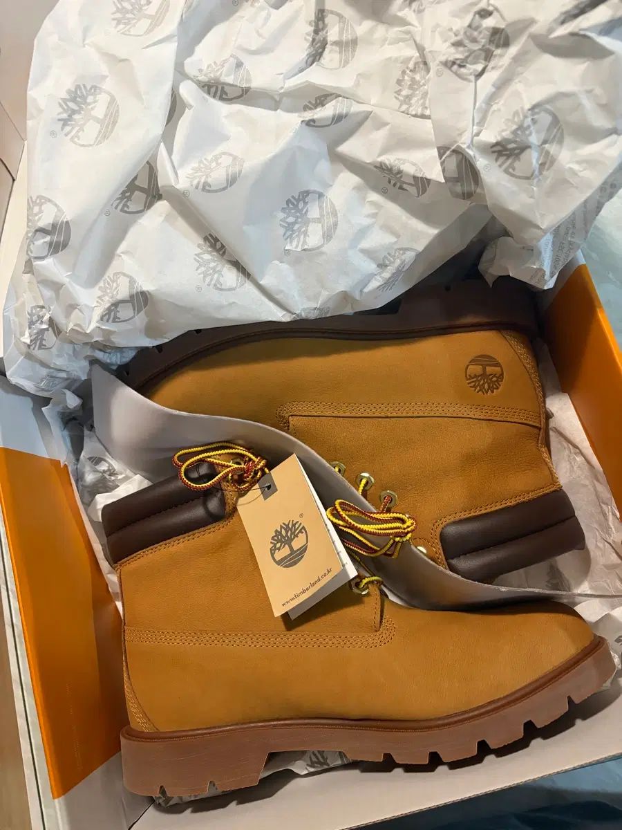新品) Timberland ティンバーランド 6インチ レースアップ ベーシック ブーツ ウィートブラウン