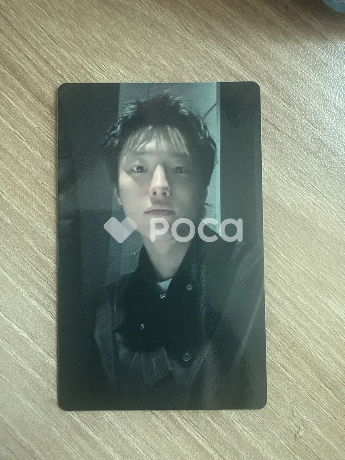 WOODZ - 2026 World Tour 'Archive. 1' MD photocard photocard