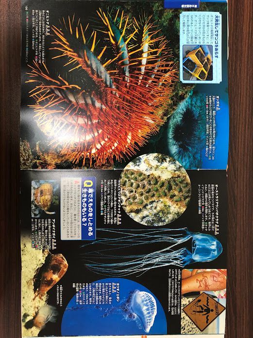 講談社の動く図鑑MOVE 8冊セット (DVD2枚・星座早見盤付き) - メルカリ