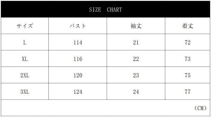 Tシャツ メンズ おしゃれ トップス 重ね着風 無地 大きいサイズ シンプル ゆったり 柔らかい肌触り 涼しい 快適 ビッグ シルエット かっこいい 春夏秋 thumbnail 10