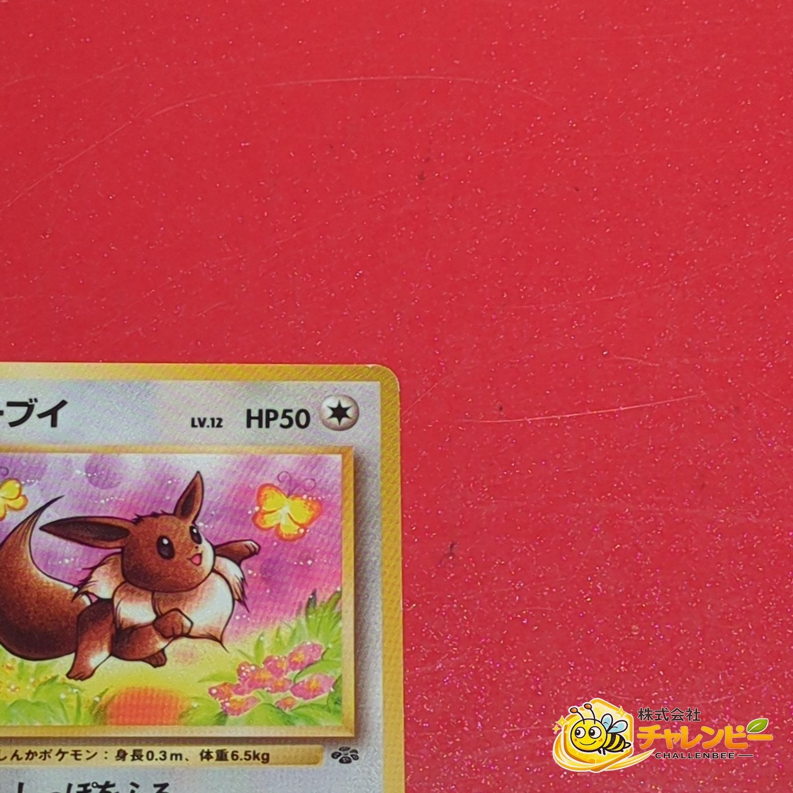 旧裏】 No.133 ○ イーブイ LV.12 ポケモンカード 第2弾拡張パック