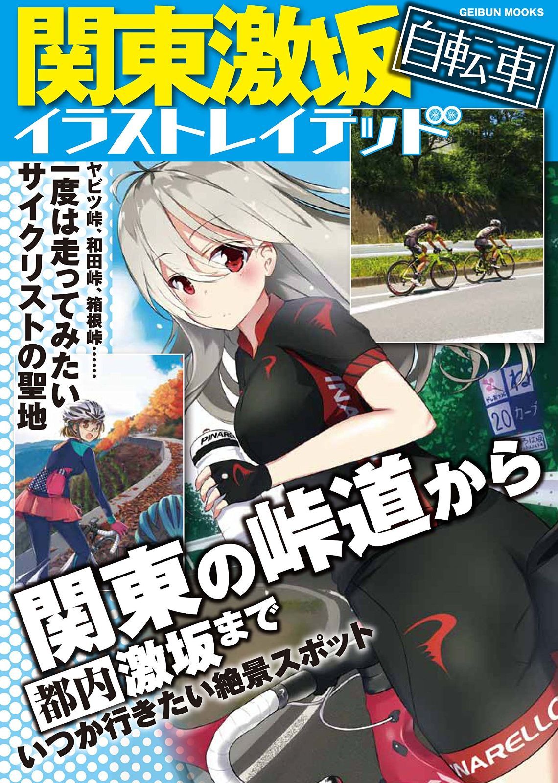 関東激坂自転車イラストレイテッド (GEIBUN MOOKS)