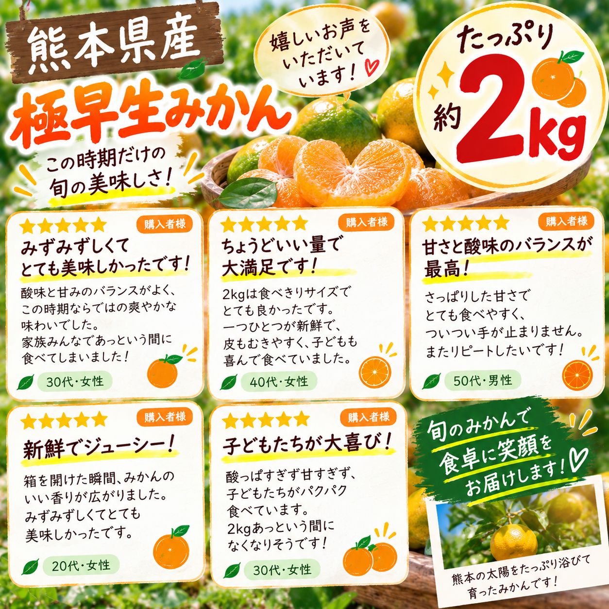 熊本県産 極早生みかん 約2kg 新品 - メルカリ