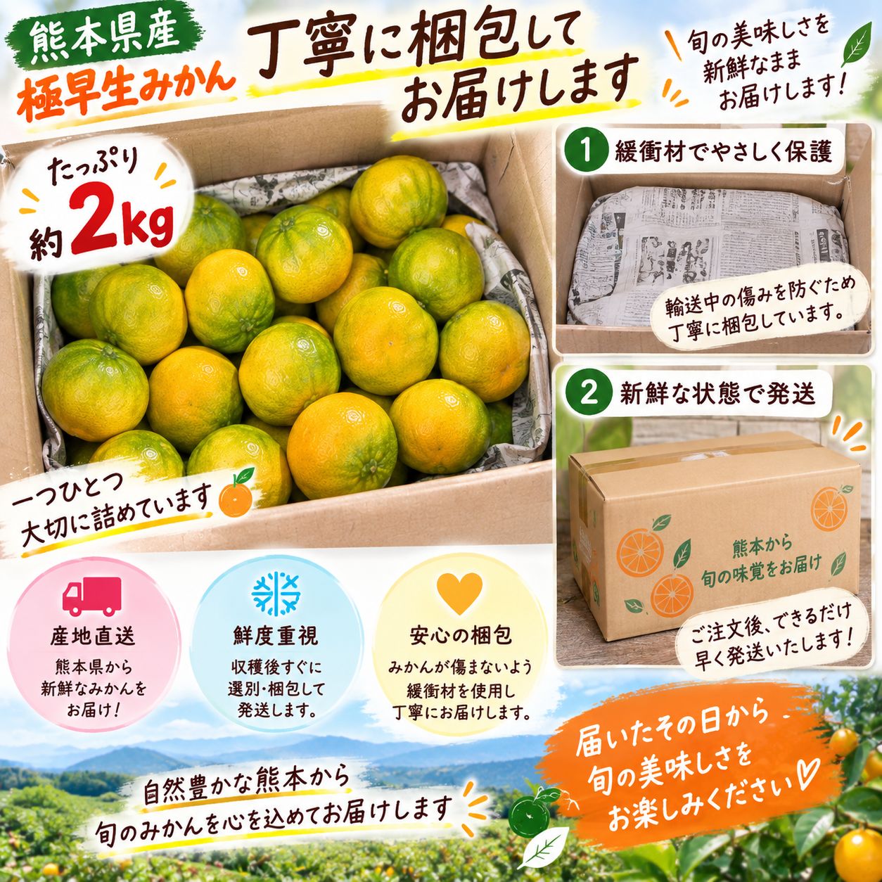 【メルカリ便発送】　ミカン　SR 熊本県産 極早生みかん 約2kg 新品 - メルカリ