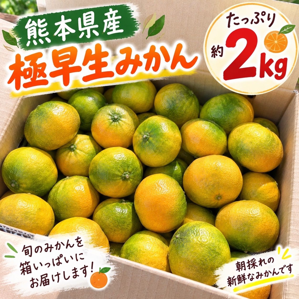 熊本県産 極早生みかん 約2kg 新品 - メルカリ