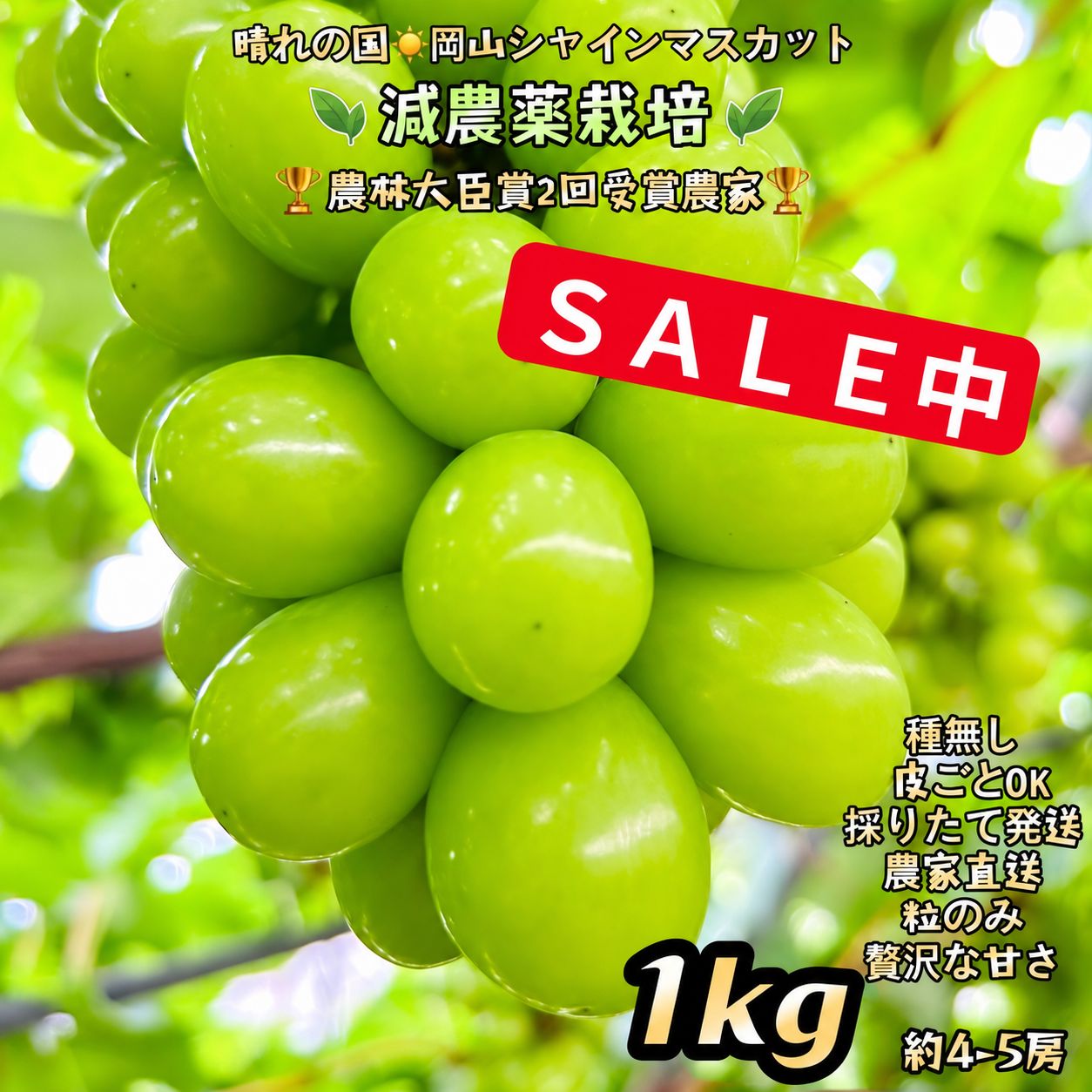 岡山シャインマスカット 無農薬1kg大粒秀品粒農薬不使用だけパリッとした食感 岡山産シャインマスカット粒だけ1kg 農薬・化学肥料不使用 - メルカリ