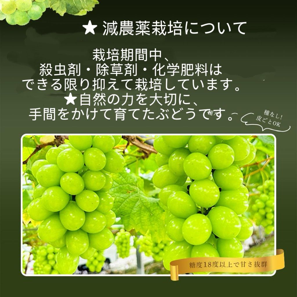 岡山産シャインマスカット粒だけ1kg 農薬・化学肥料不使用 - メルカリ