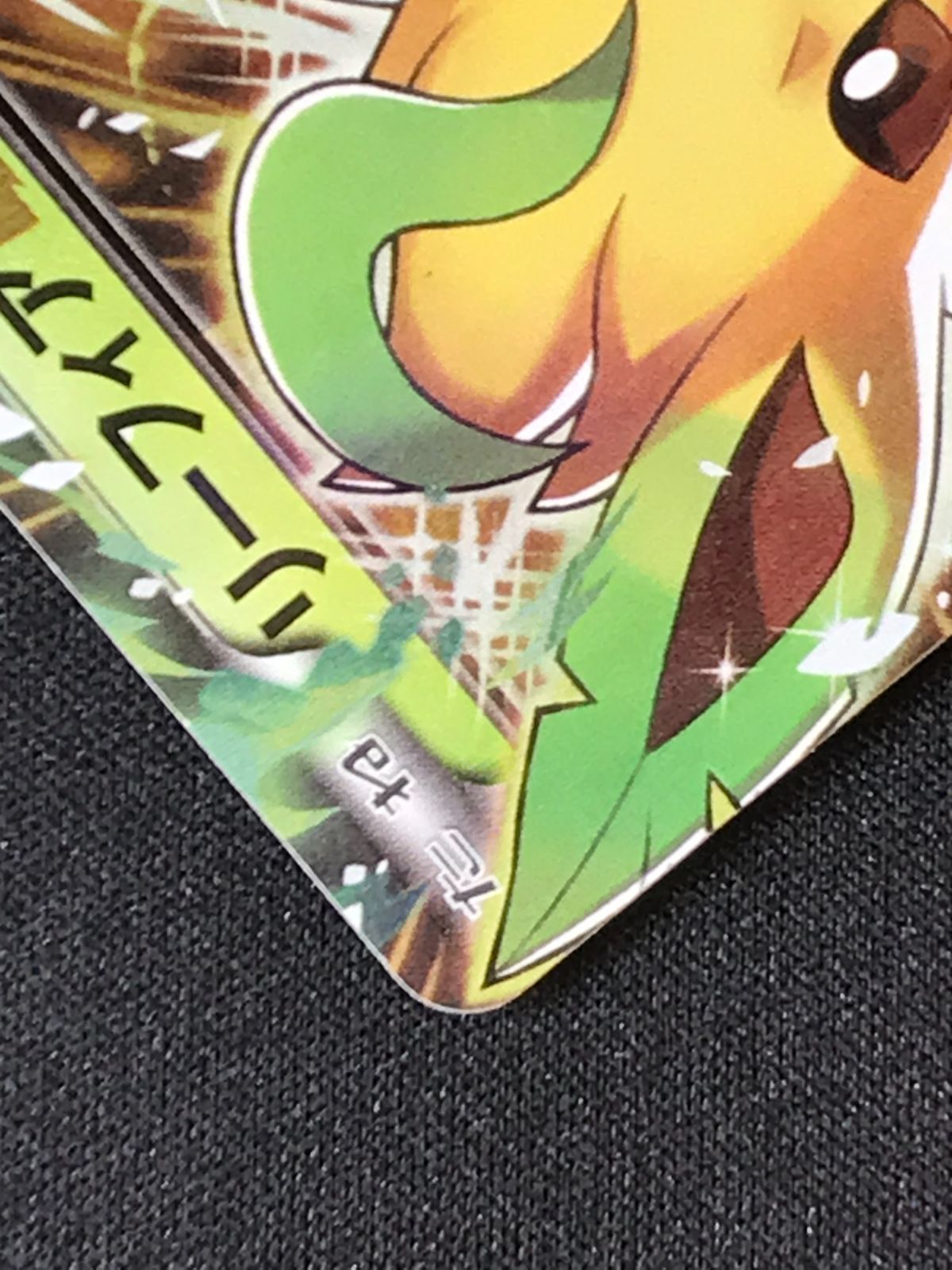 ポケモンカードゲーム ポケカ リーフィアEX - 192/XY-P PR バトル強化