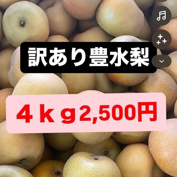 訳あり豊水梨 4kg 目立った傷や汚れなし - メルカリ