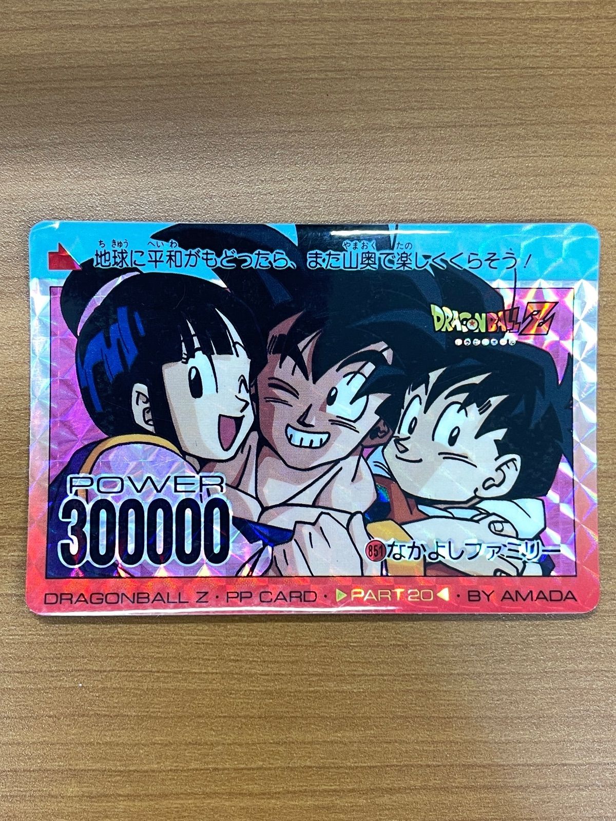 ドラゴンボール カードダス　なかよしファミリー　No.389 アマダ 状態B 851 なかよしファミリー No.389 悟空ファミリー PPカード アマダ