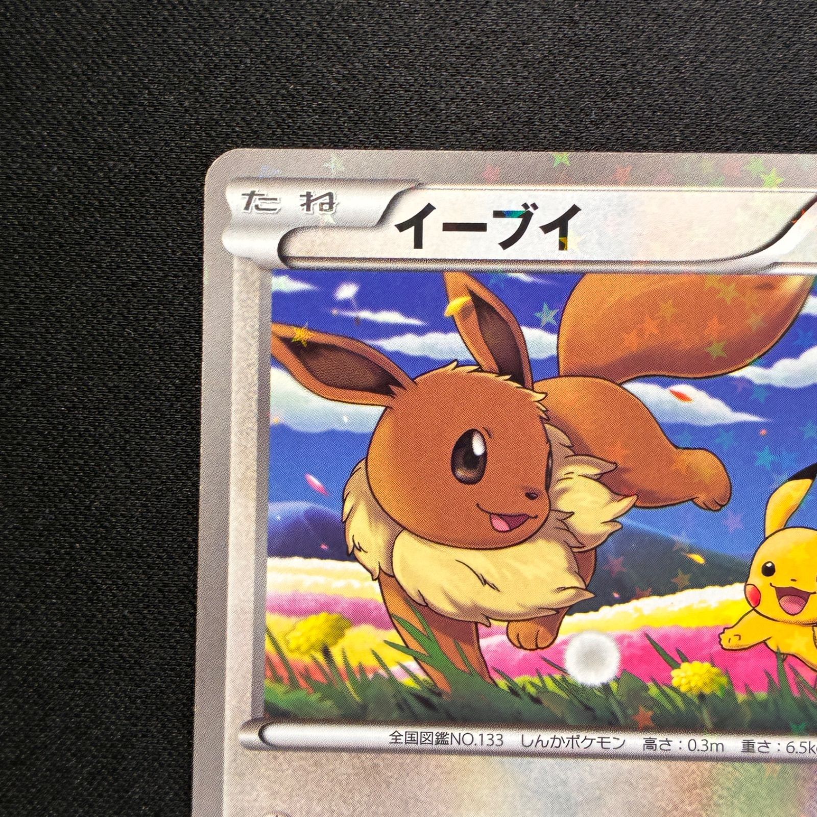【PSA9】イーブイ P BW-P 235セブンイレブン ポケモンスタンプラリー 状態B イーブイ セブンイレブン ポケモンスタンプラリー プロモ 235/BW